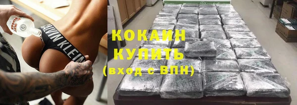 сатива Верея