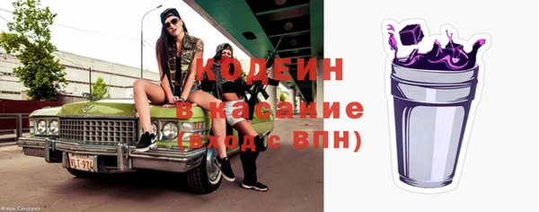 сатива Верея