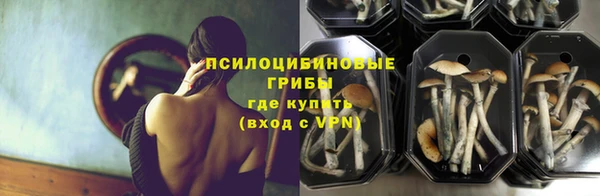 сатива Верея