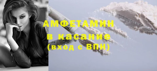 сатива Верея
