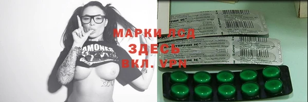 сатива Верея