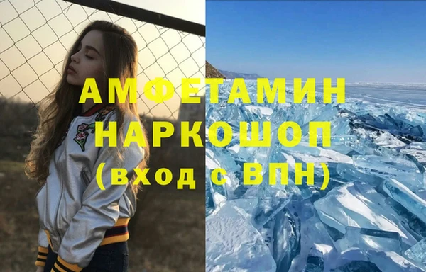 сатива Верея