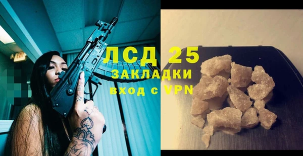 сатива Верея